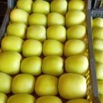 286e1c82-8d69-44e6-9f56-537df82c02b8