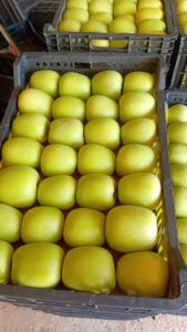 286e1c82-8d69-44e6-9f56-537df82c02b8