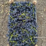 45154f5a-4d7c-41da-b6bd-7b804e871460