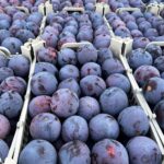 46634a65-3757-4804-b1cd-5c362d46bded