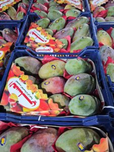 8887017a-f6c1-4ca3-8a06-b051474124da