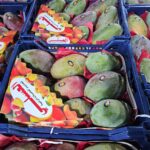 8887017a-f6c1-4ca3-8a06-b051474124da