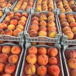 92e9afa1-5720-449d-95d6-7c267dd48fa1