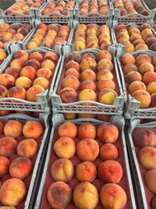 92e9afa1-5720-449d-95d6-7c267dd48fa1