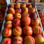 a80c2b1b-7998-42e9-8062-166271b6a53b