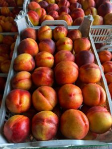 a80c2b1b-7998-42e9-8062-166271b6a53b