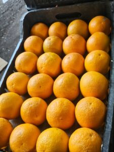 a93c3d66-d821-453c-b51e-a9435e2c140c