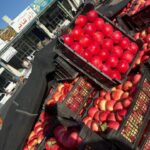 bbc301ab-e88b-40a7-ad5c-0a6af572cba8