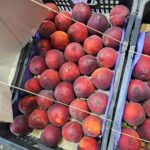 bfc012b1-63ee-4f82-bce1-04eecb7062ae