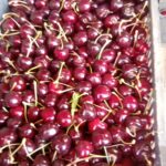 db00dc10-636a-4270-aba5-007b1228b4fc