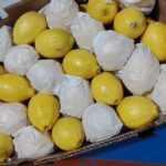 f8504efe-597c-4b1a-8c3a-e6c07306fe0e